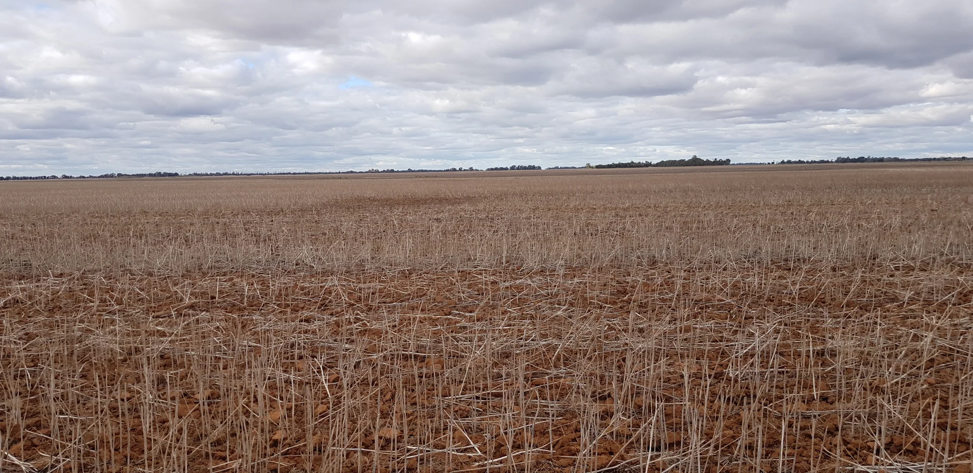 Additional image 6 of Tennyson VIC 3572