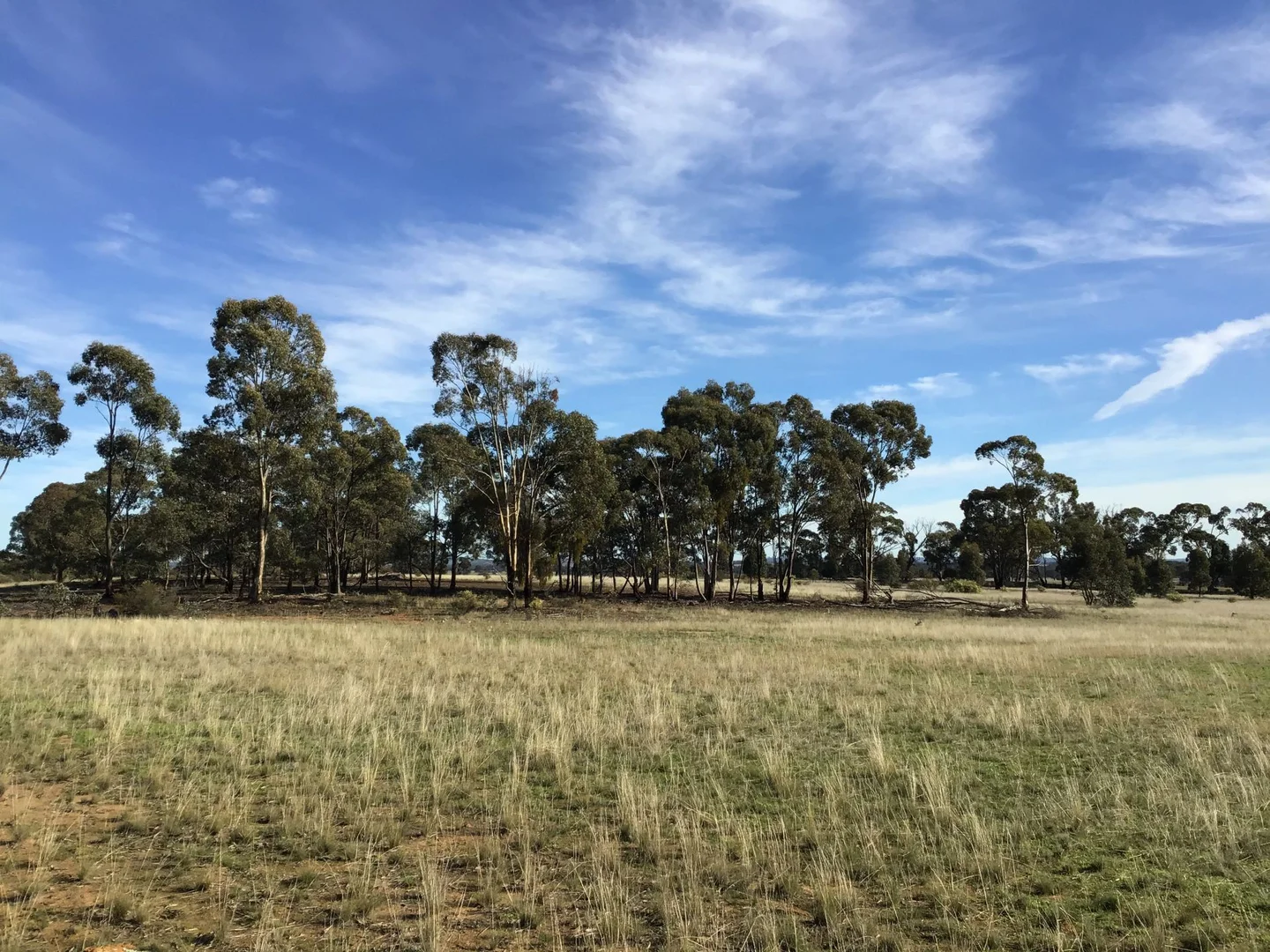 Additional image 4 of 2 Bendigo-St Arnaud Rd, Murphys Creek VIC 3551