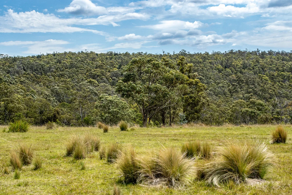 Additional image 12 of 2/10923 Tasman Highway, Little Swanport TAS 7190