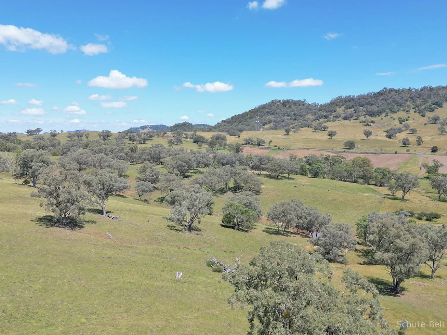 Additional image 19 of Tamworth NSW 2340