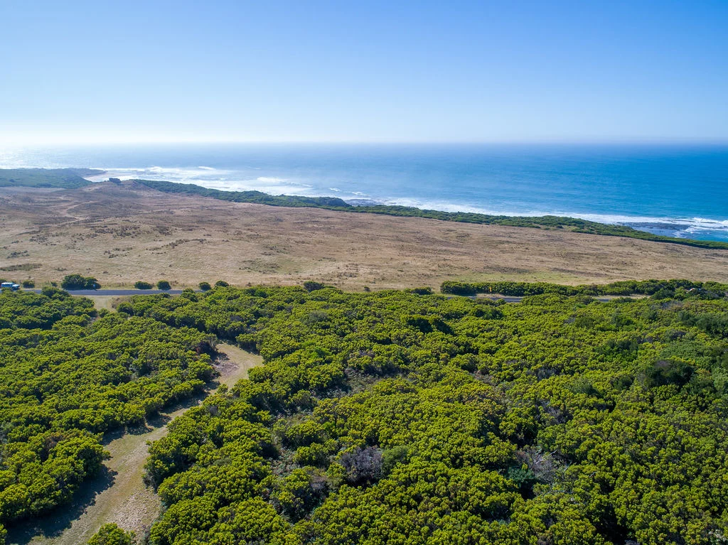 Additional image 5 of Level 41, 41A, 4/1010 Lighthouse Road, Cape Otway VIC 3233