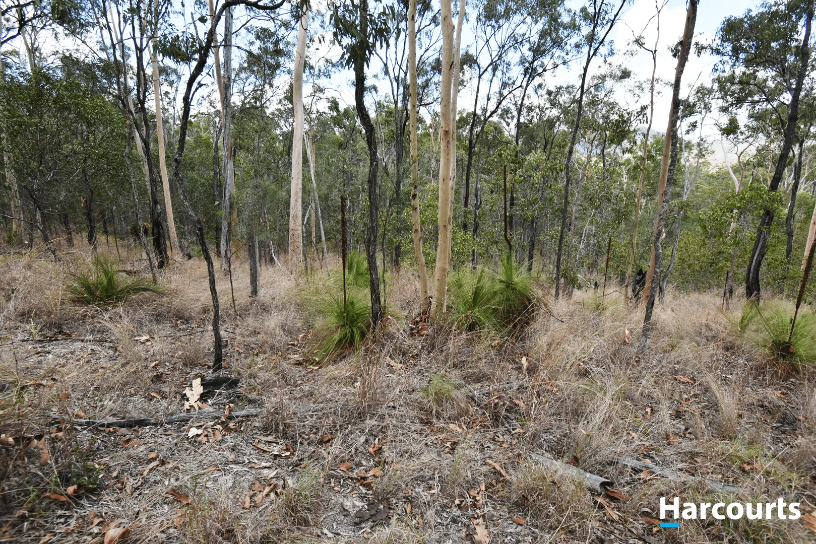 Additional image 14 of Lot 29 Wonbah Avenue, Wonbah QLD 4671