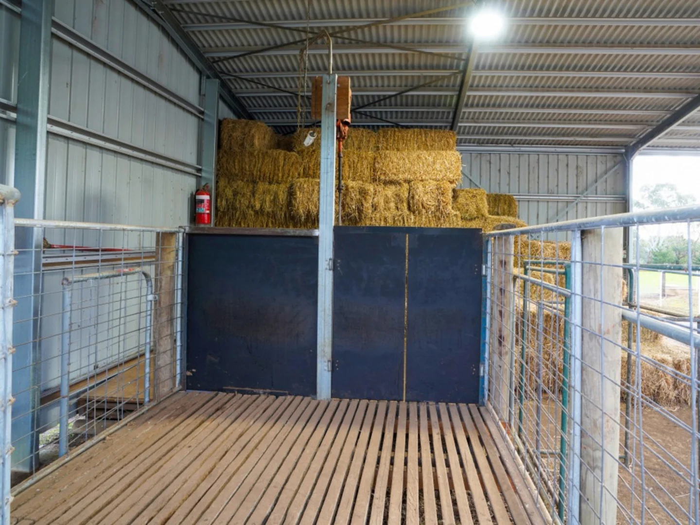 Additional image 25 of 244 Beveridges Road, Hamilton VIC 3300