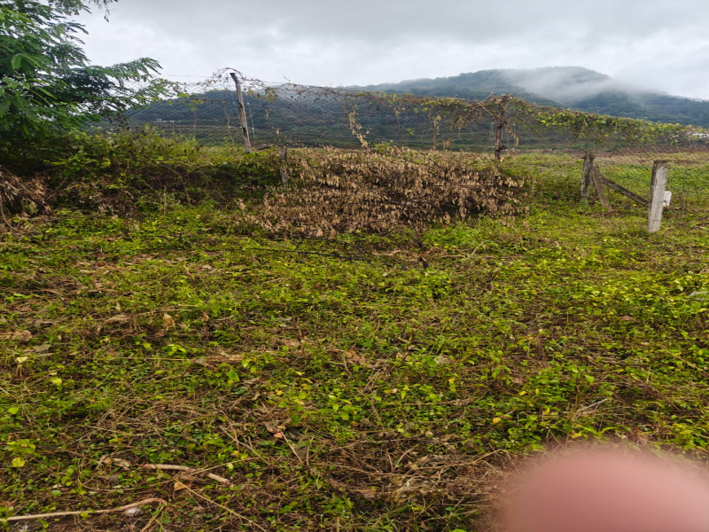 Additional image 2 of Anaikatti, Coimbatore