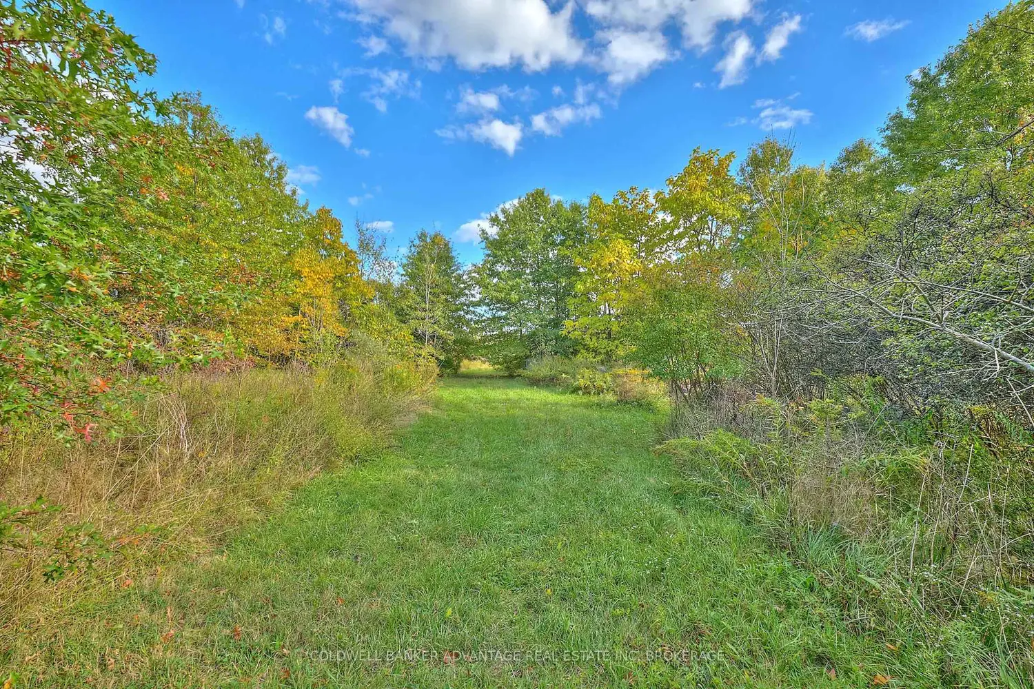 Additional image 15 of 925 Carl Road