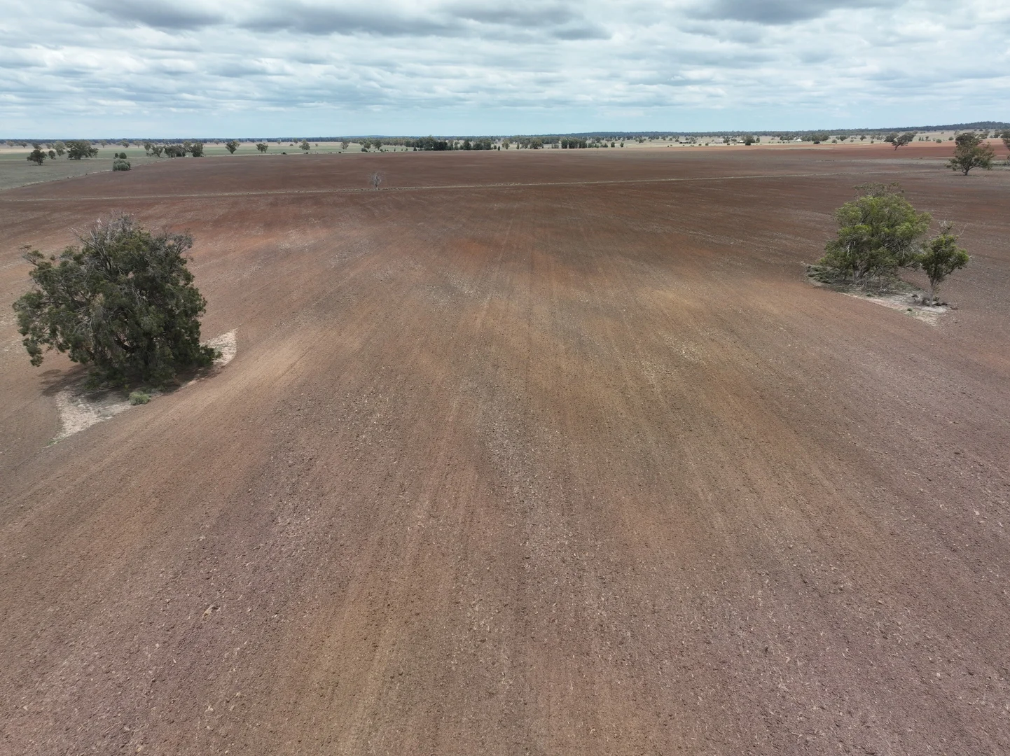 Additional image 11 of 'Weemala' 2075 The McGrane Way, Tullamore NSW 2874