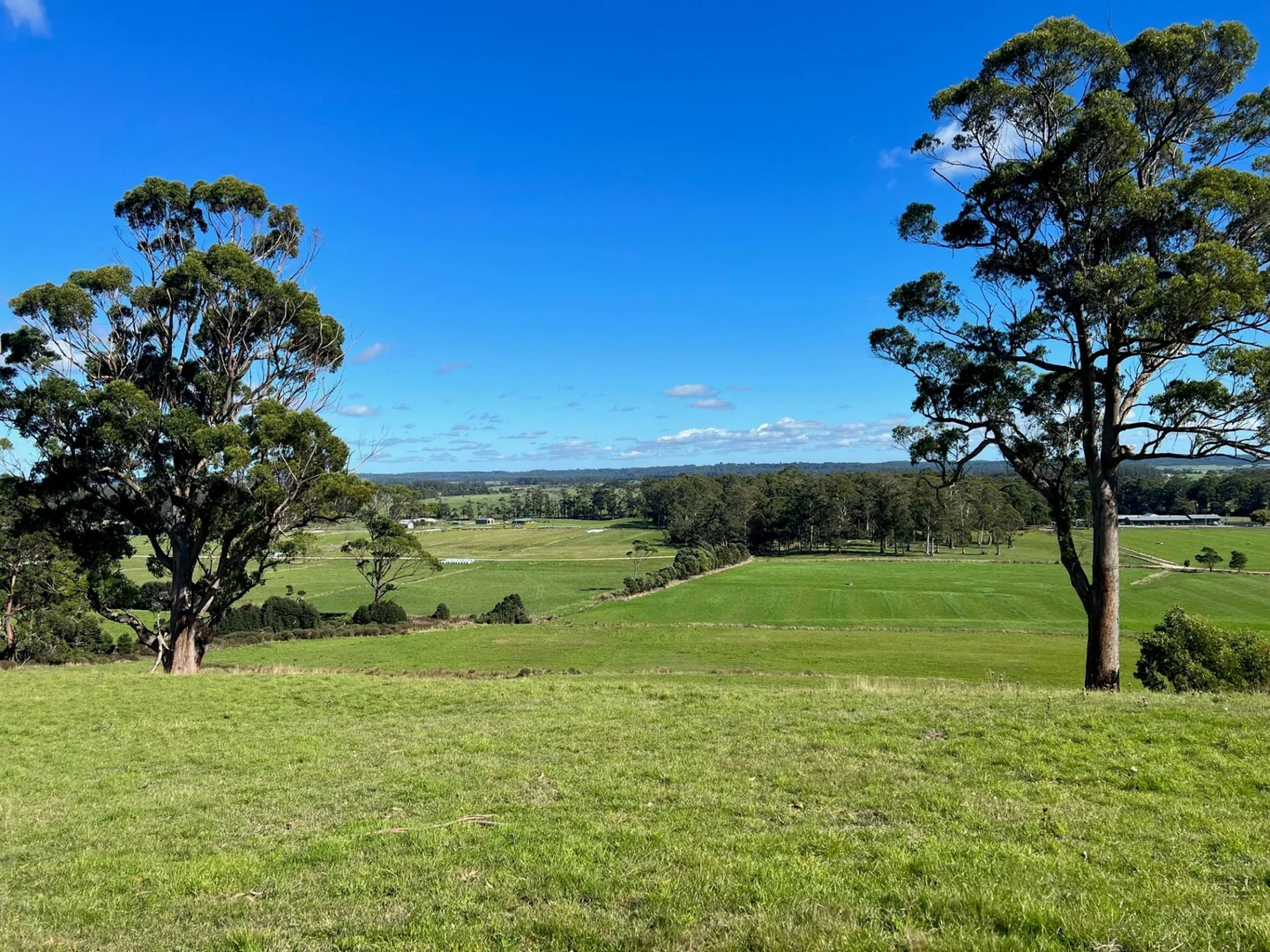 Additional image 6 of 480 Upper Scotchtown Road, Scotchtown TAS 7330