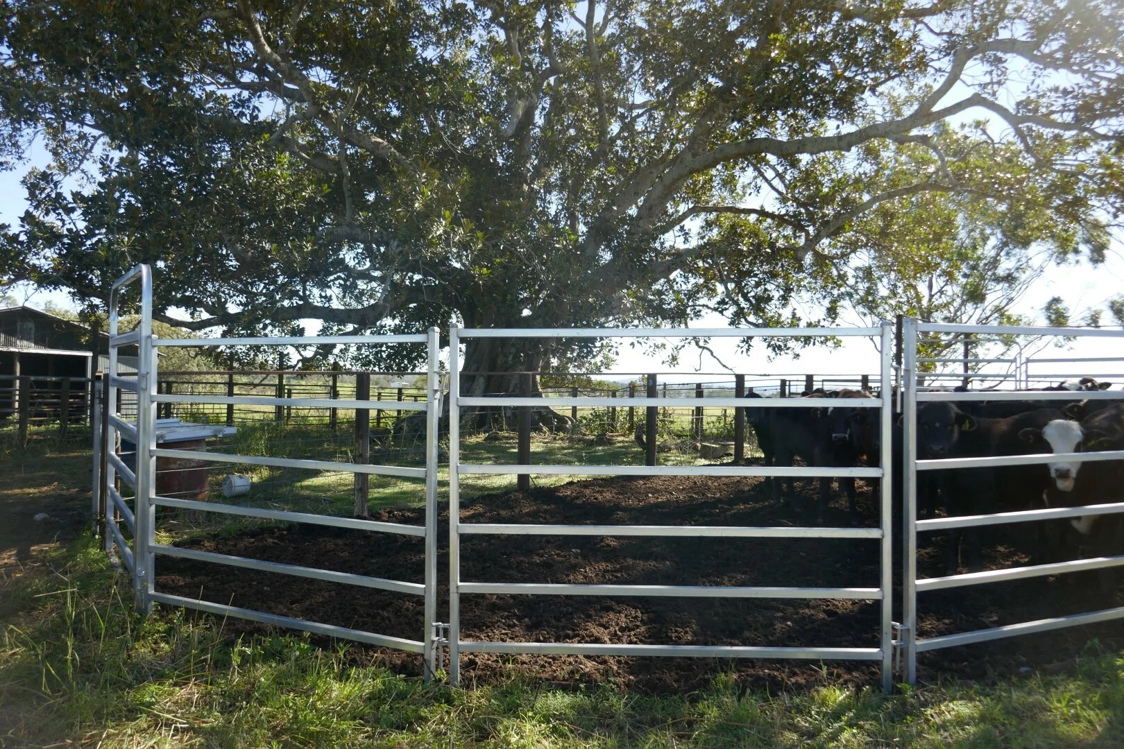 Additional image 13 of 1521 Sextonville Road, Kyogle NSW 2474