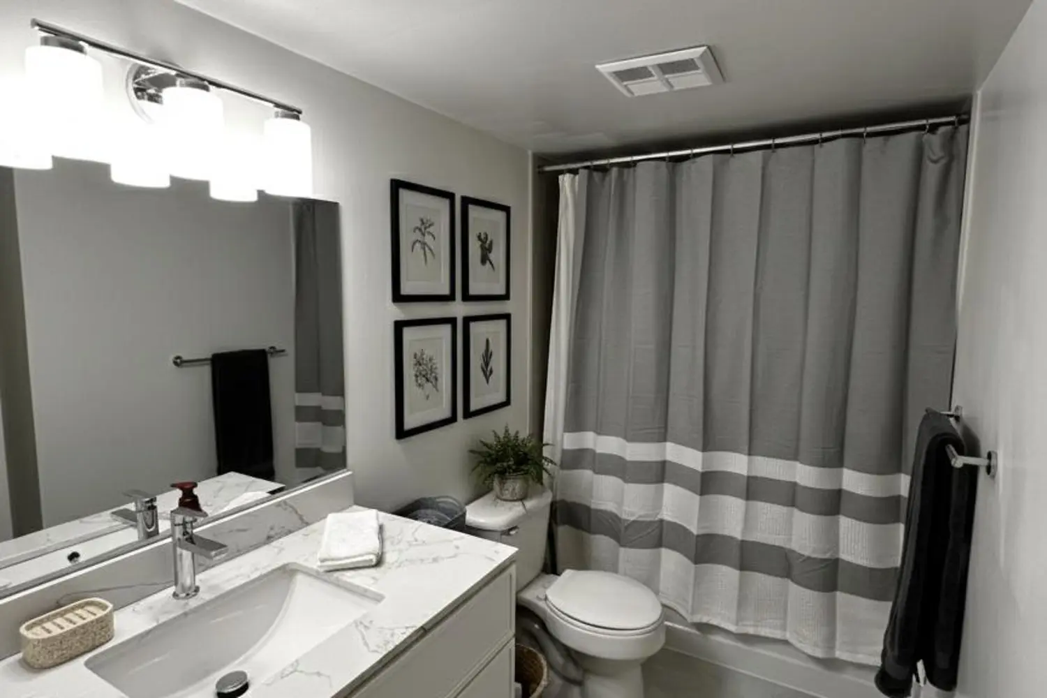 45 Carlton Street Ph11 photo 5