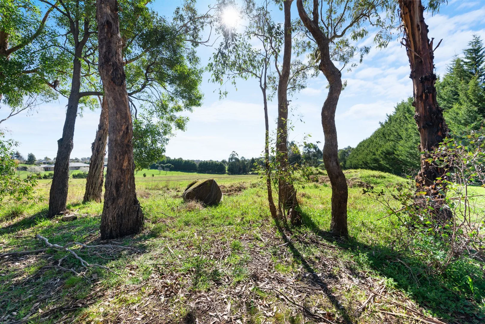 Additional image 6 of 541 Church Road, Hazelwood North VIC 3840