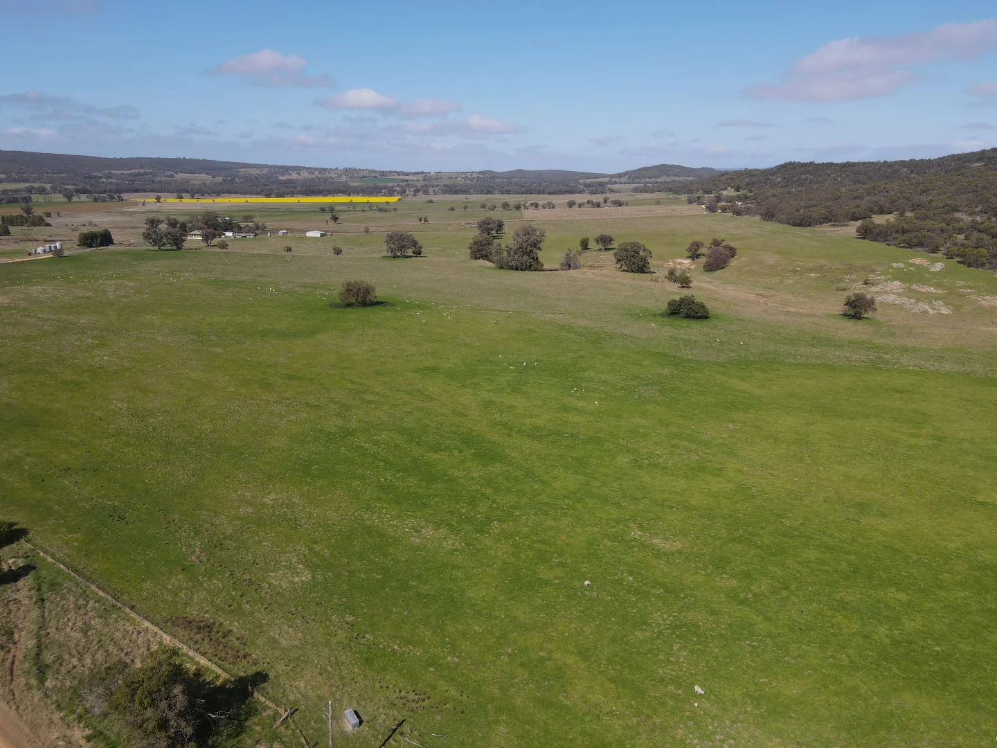 Additional image 40 of "Glenroy" 165 Bald Hills Road, Grenfell NSW 2810
