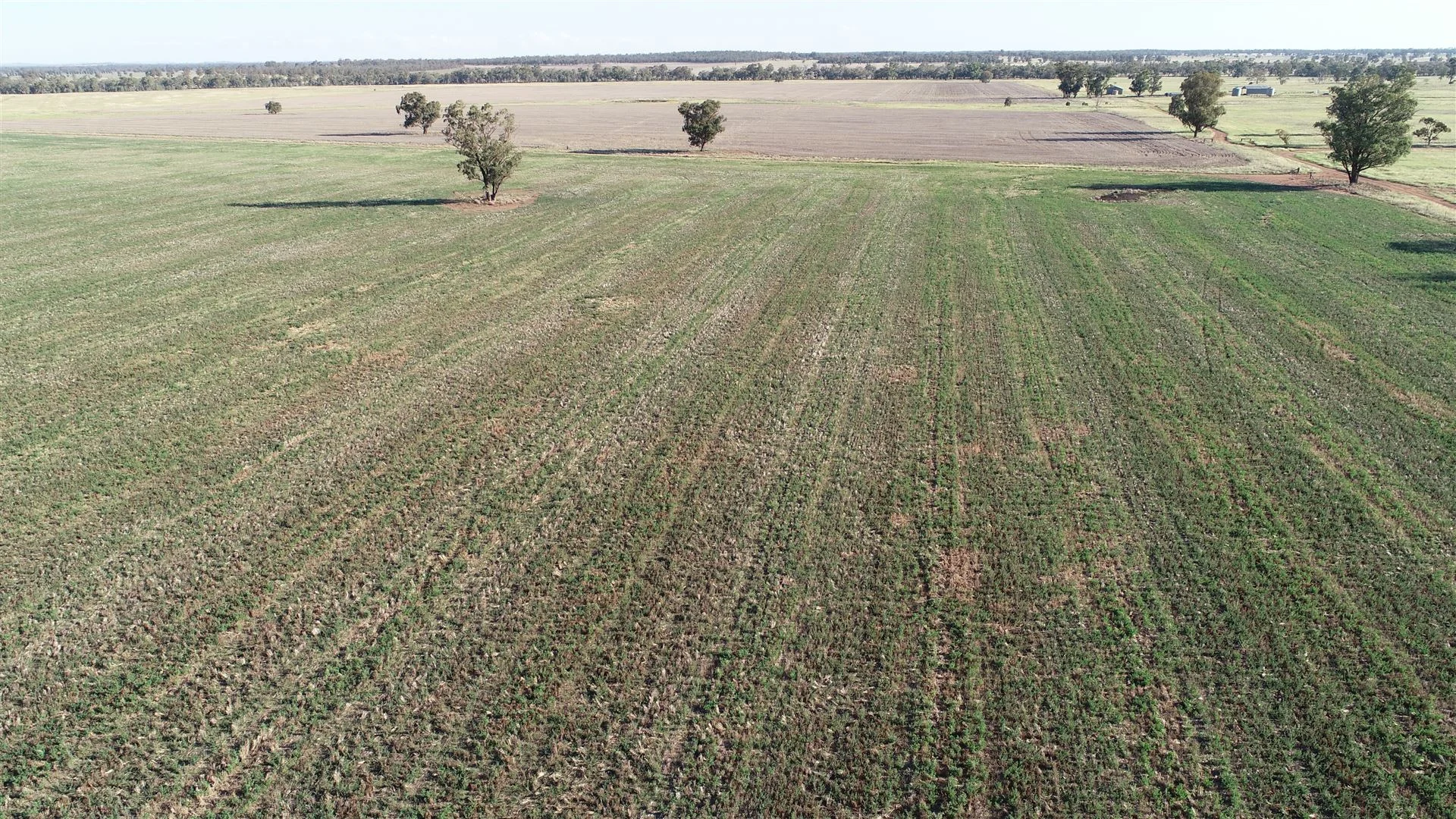 Additional image 9 of Parkes NSW 2870