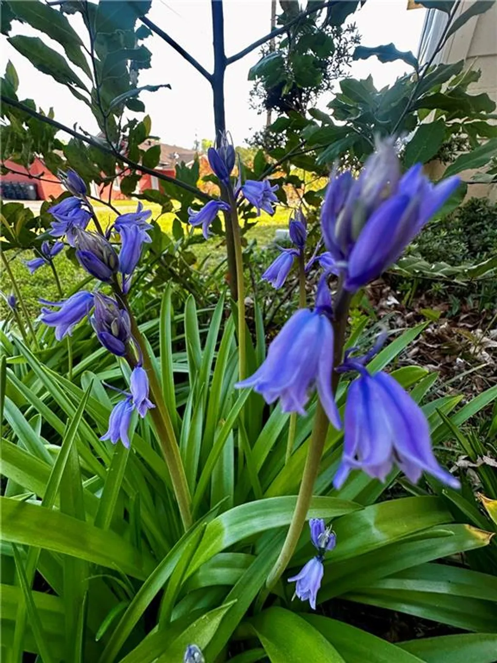 Additional image 8 of 1309 12th Place, Phenix City, AL 36867