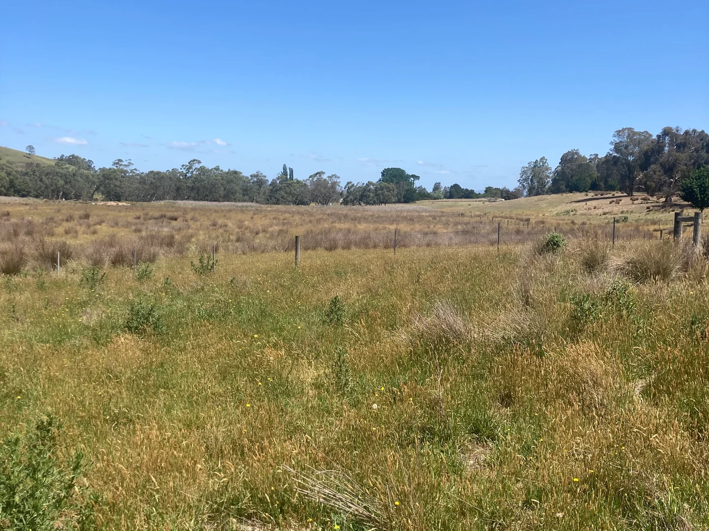 Additional image 2 of 1162 Yarck Road, Gobur VIC 3719