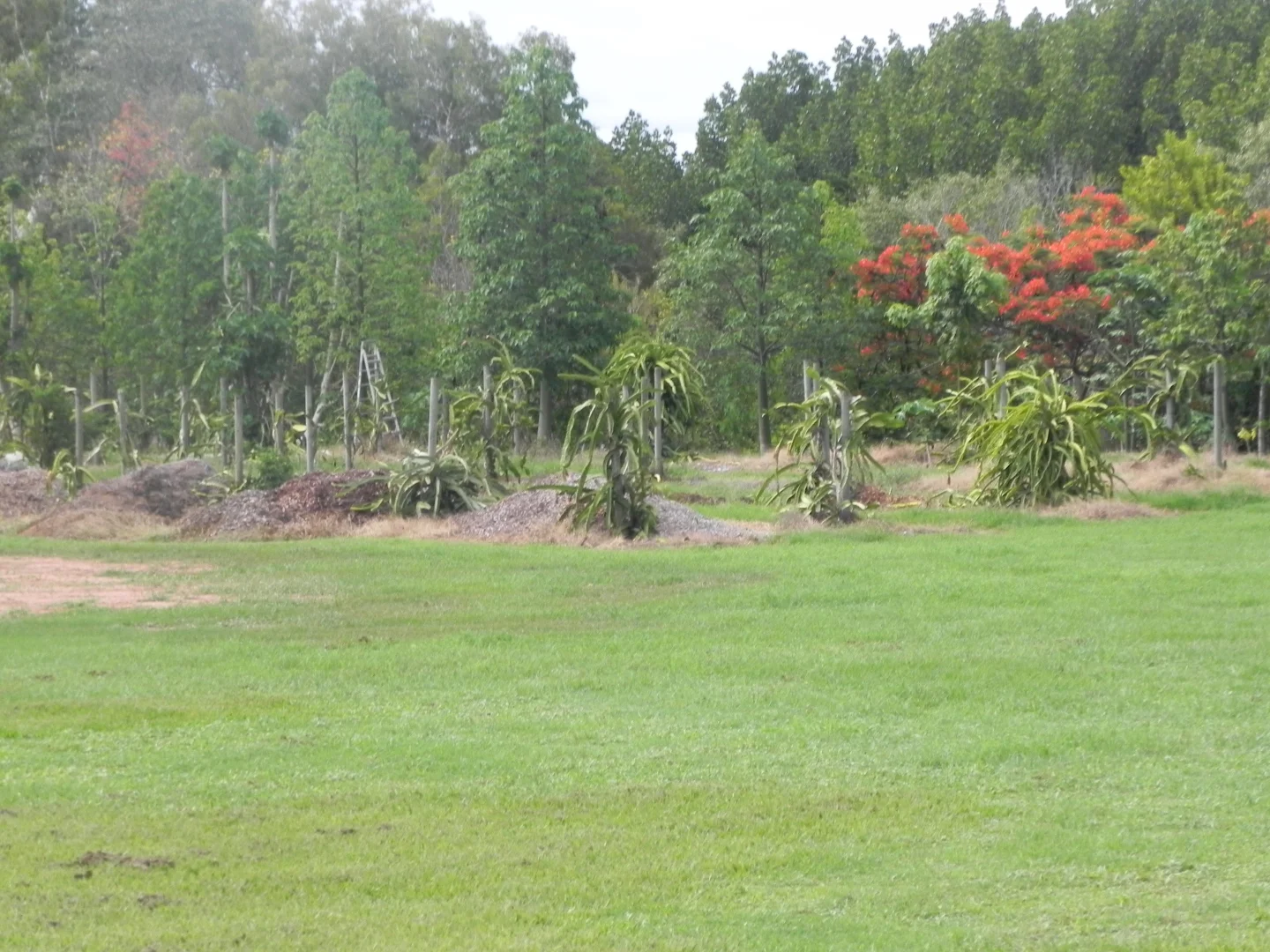 Additional image 10 of 412 Kamerunga Road, Stratford QLD 4870