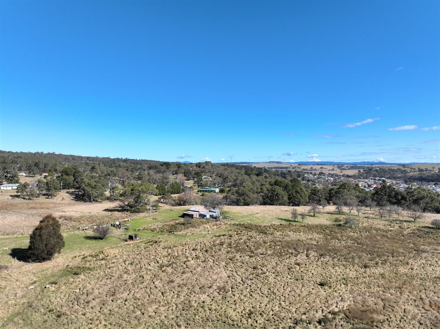 Additional image 10 of 0 Bucky Springs Road, Bombala NSW 2632