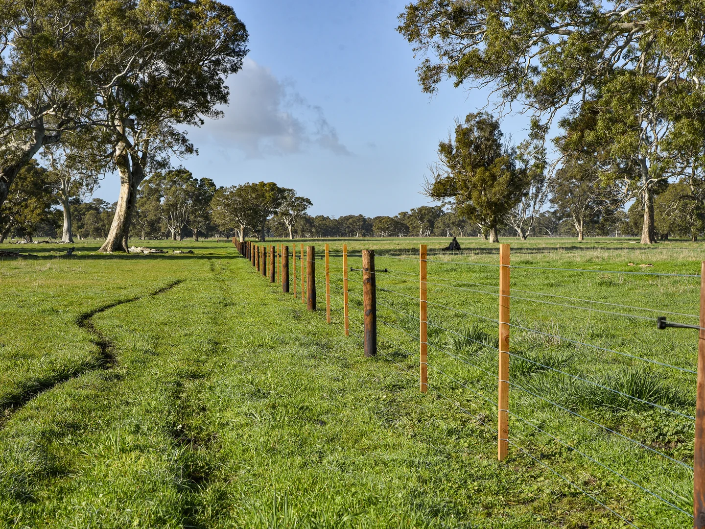 Additional image 12 of 344 Krongart Road, Penola SA 5277