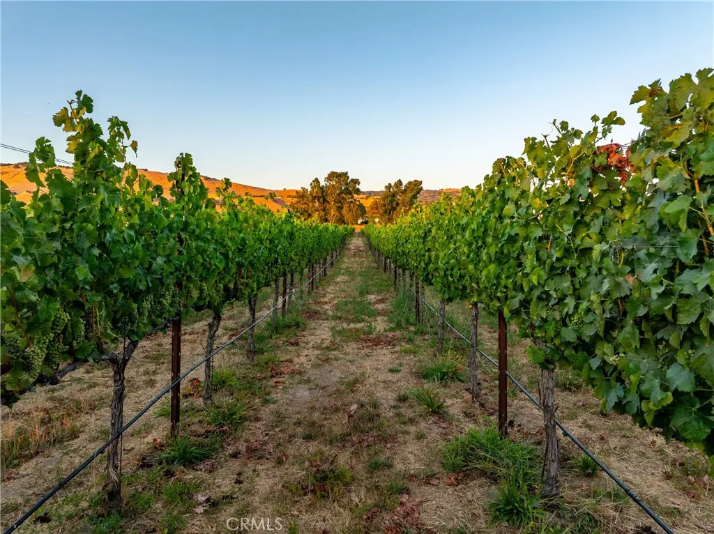 Additional image 44 of 2143 Buena Vista Avenue, Gilroy, CA 95020