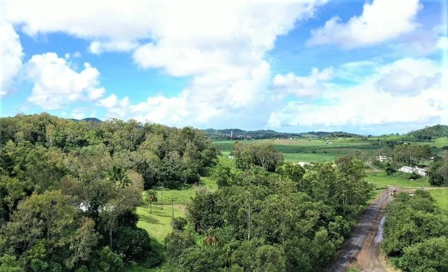 Additional image 5 of 179 Barclays Road, Dumbleton QLD 4740