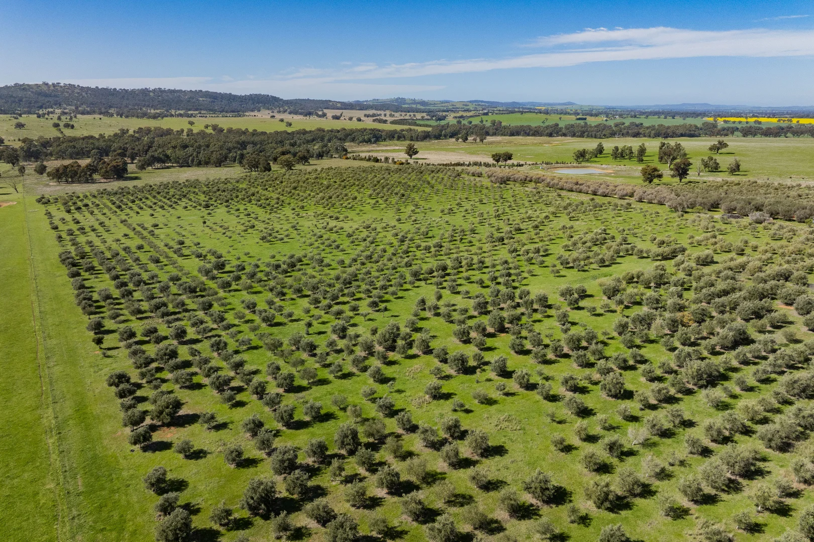 Additional image 81 of 277 Cloughs Road, Yarragundry NSW 2650