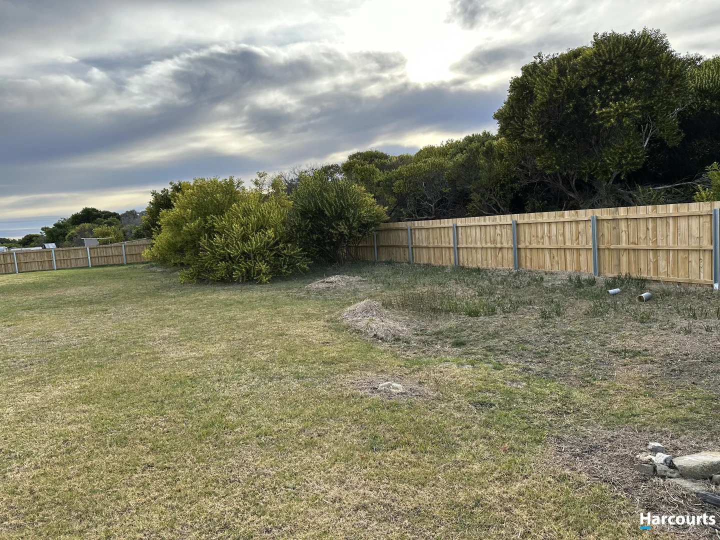 Additional image 5 of 17 Scamander Avenue, Scamander TAS 7215