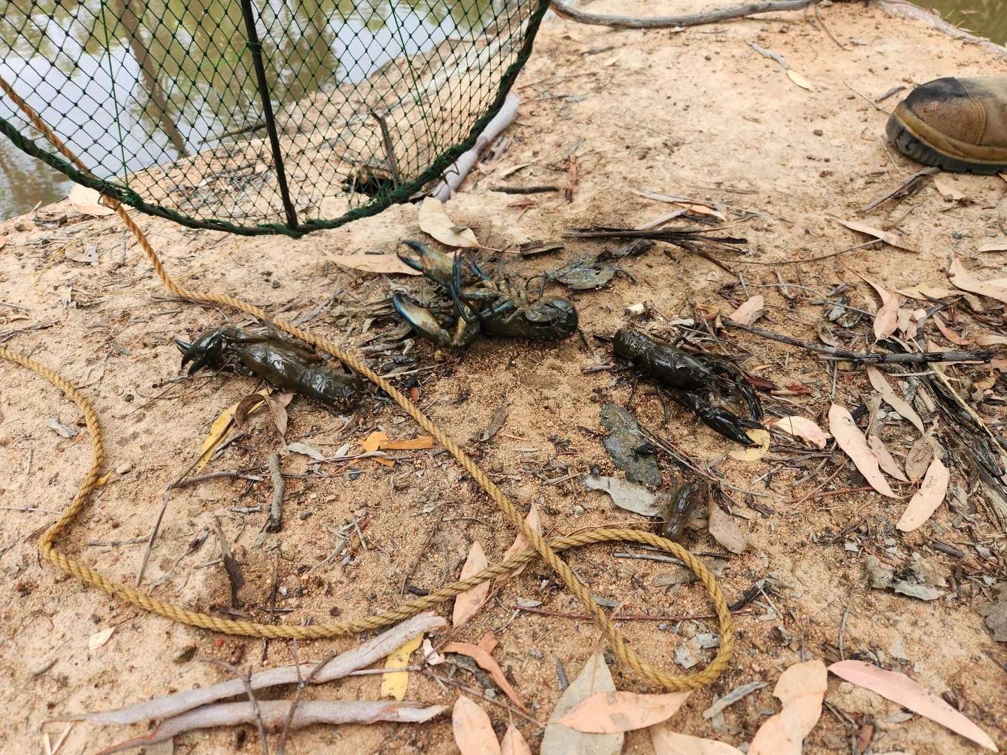 Additional image 26 of 14692 Oxley Highway, Rocky Glen NSW 2357