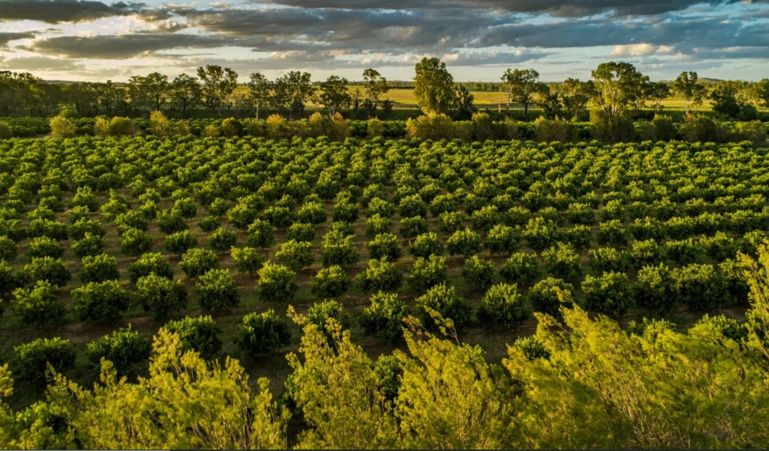 Additional image 10 of Reids Creek QLD 4625