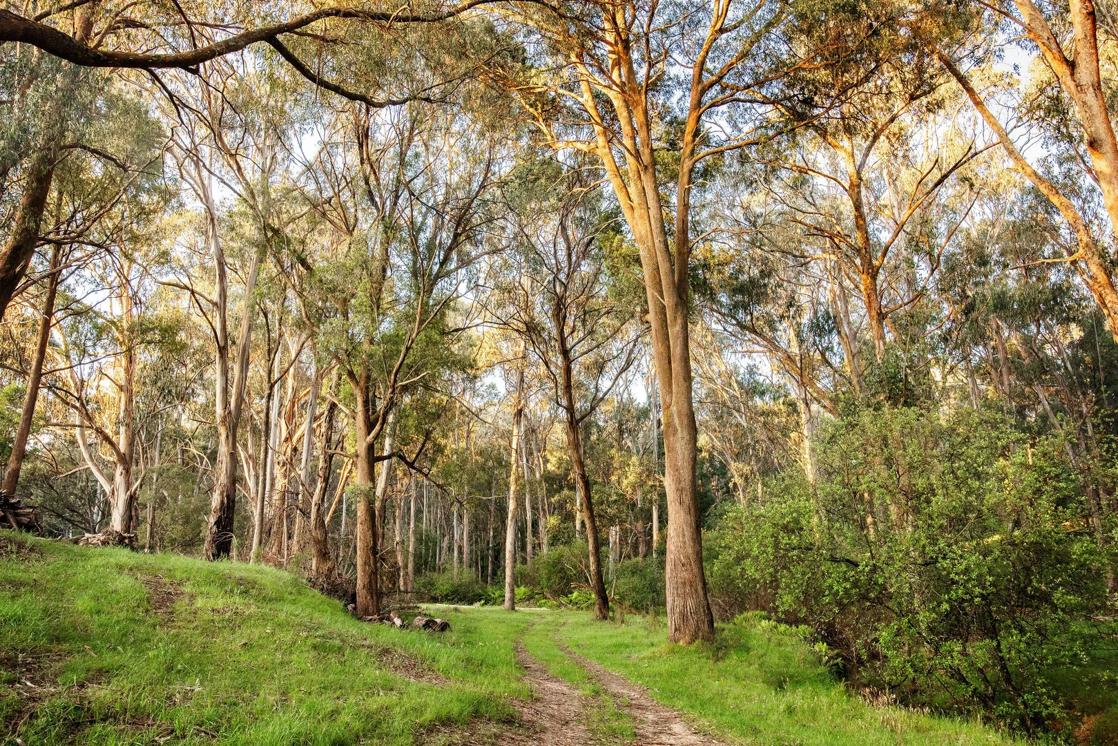 Additional image 20 of 205 Stanley Road, Beechworth VIC 3747