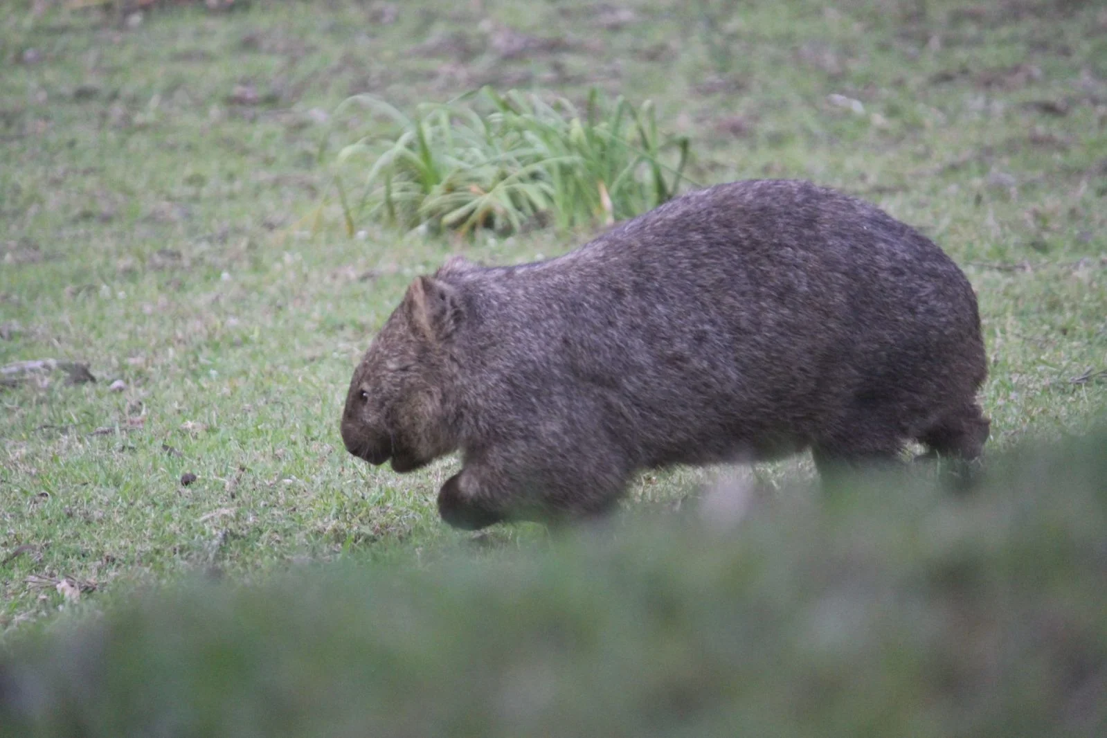 Additional image 32 of 1348C Old Princes Highway, Brooman NSW 2538