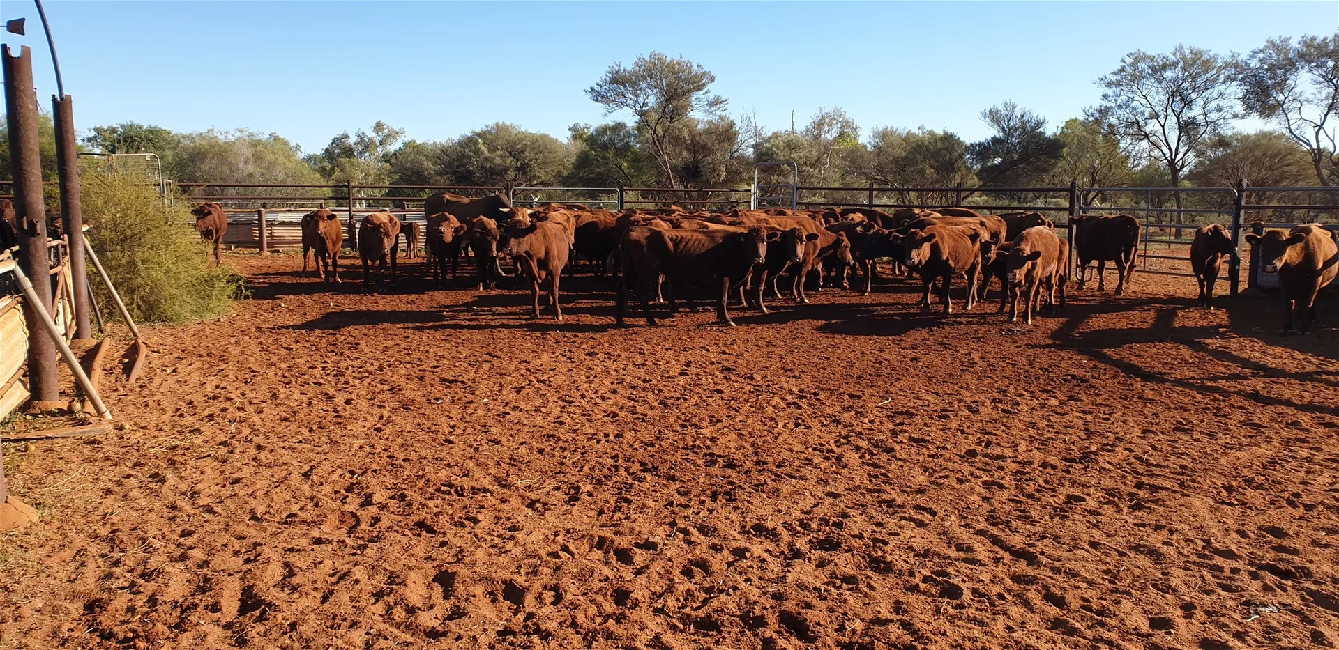 Additional image 12 of Yoothapina Station, Meekatharra WA 6642
