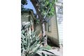 Additional image 3 of 209 Carlton Ave, Pasadena, CA, 91103