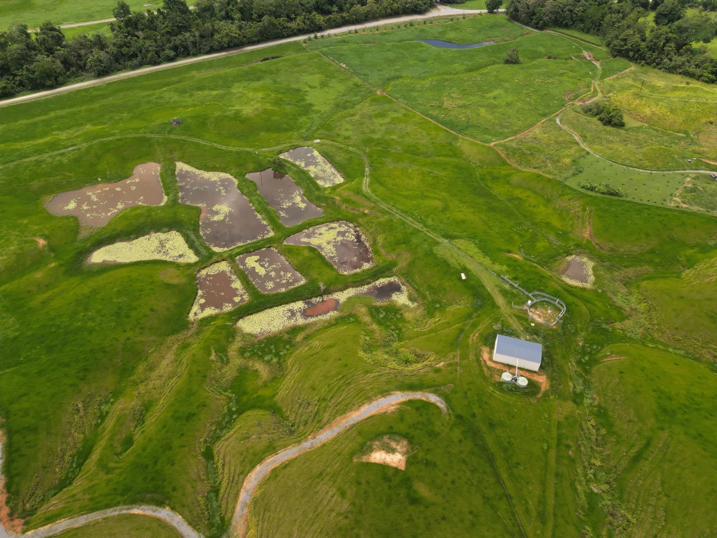 Additional image 13 of 141 Stewart Creek Road, Stewart Creek Valley, Daintree QLD 4873
