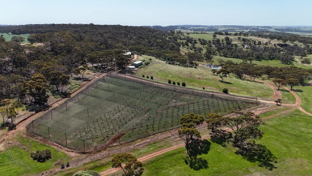 Additional image 9 of 9 Morris Edwards Drive, York WA 6302