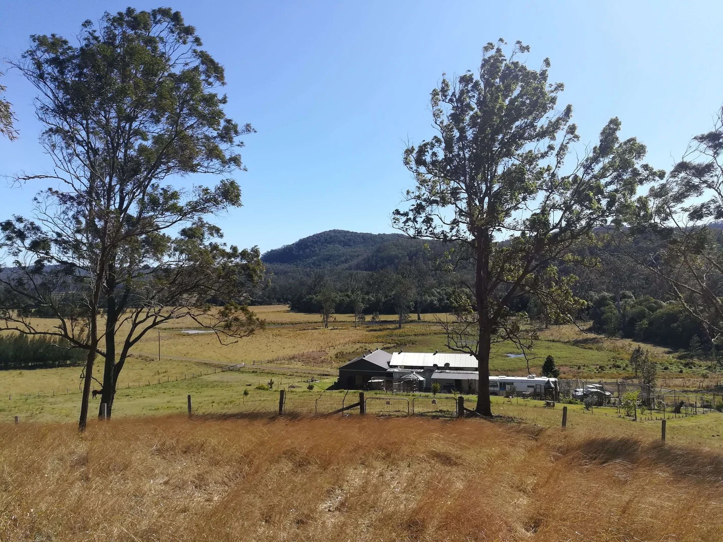 123 Old School Road, Busbys Flat NSW 2469