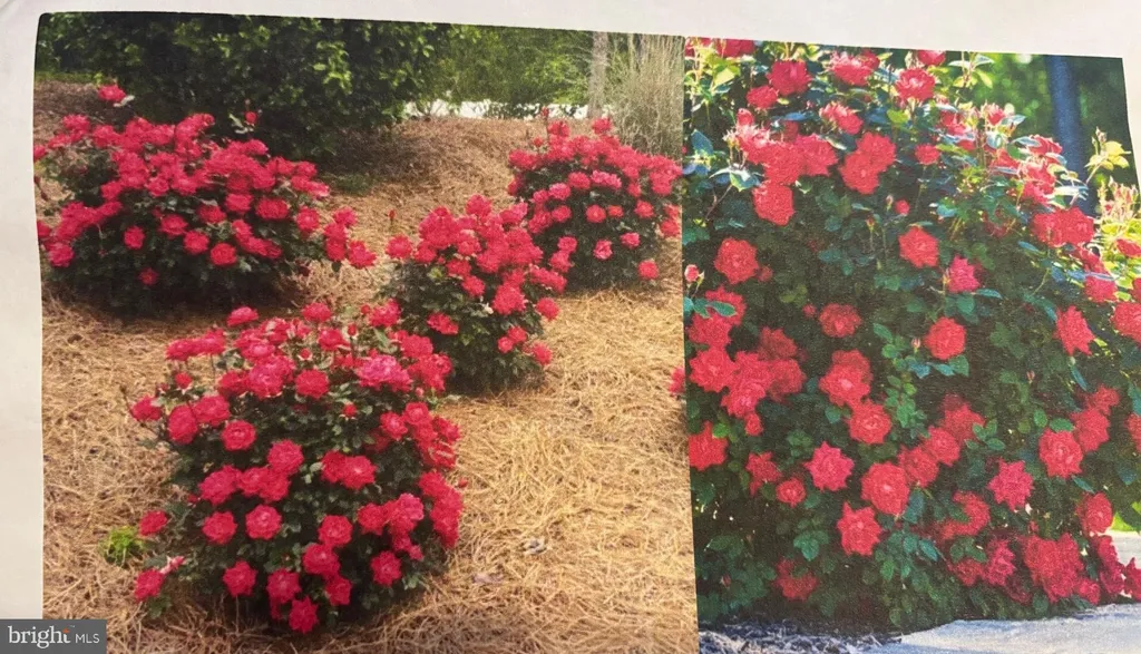 Additional image 65 of 6 Bradley Circle, Middletown, DE 19709