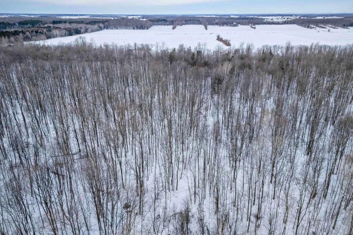 Additional image 9 of Lot Concession 10 Road