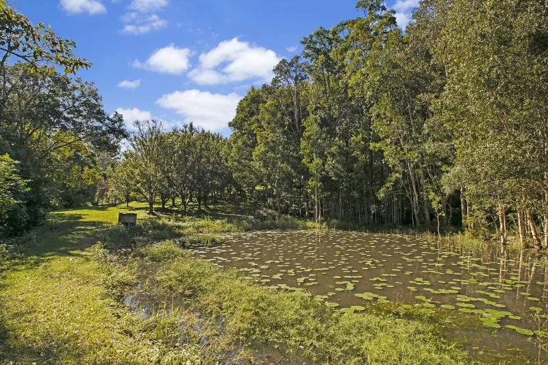 Additional image 12 of 74 Sudholz Road, Verrierdale QLD 4562