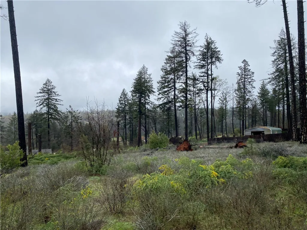 Additional image 40 of 8941 Skyway, Paradise, CA 95969