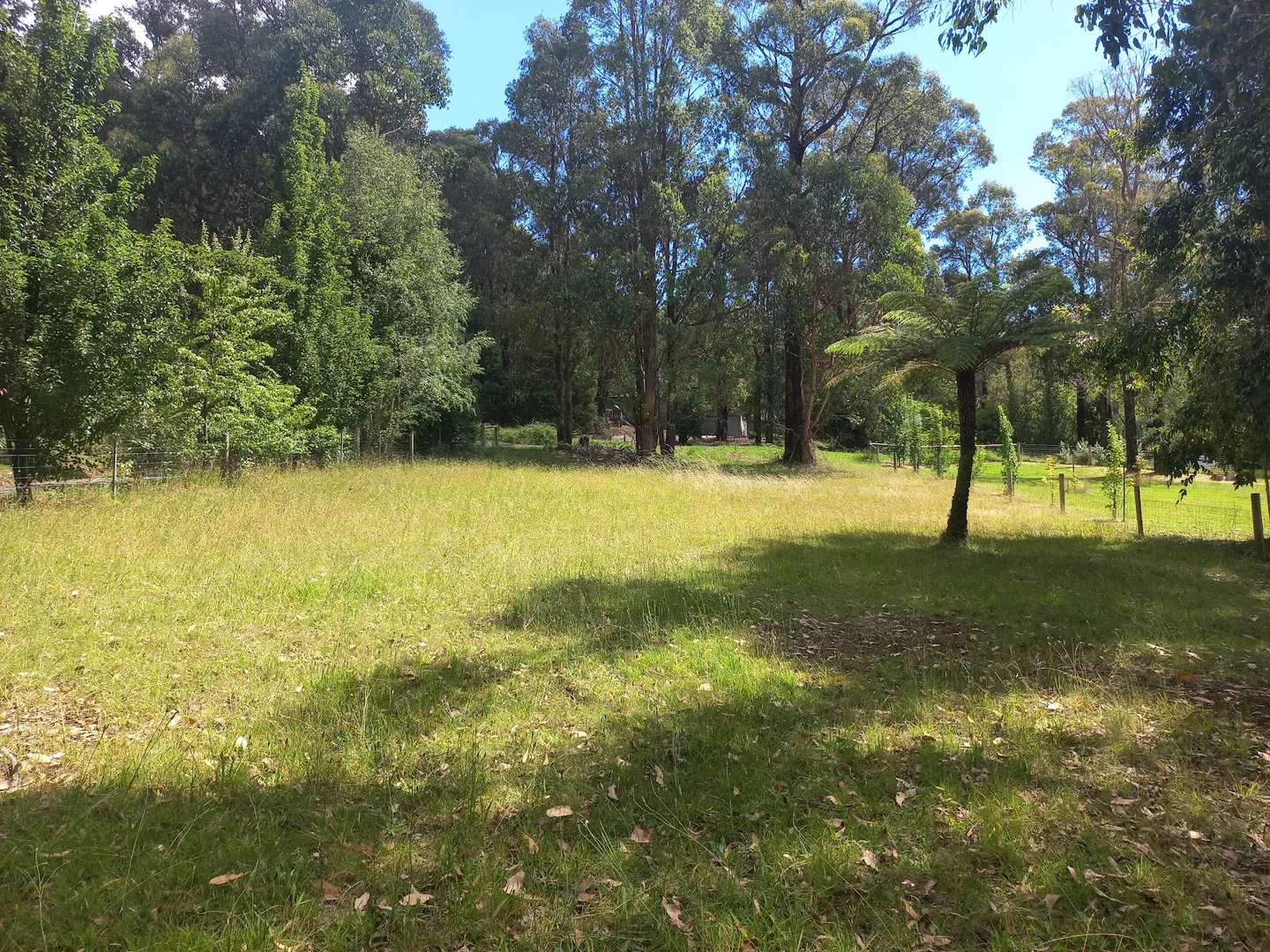 Additional image 4 of 127 Falls Road, Marysville VIC 3779