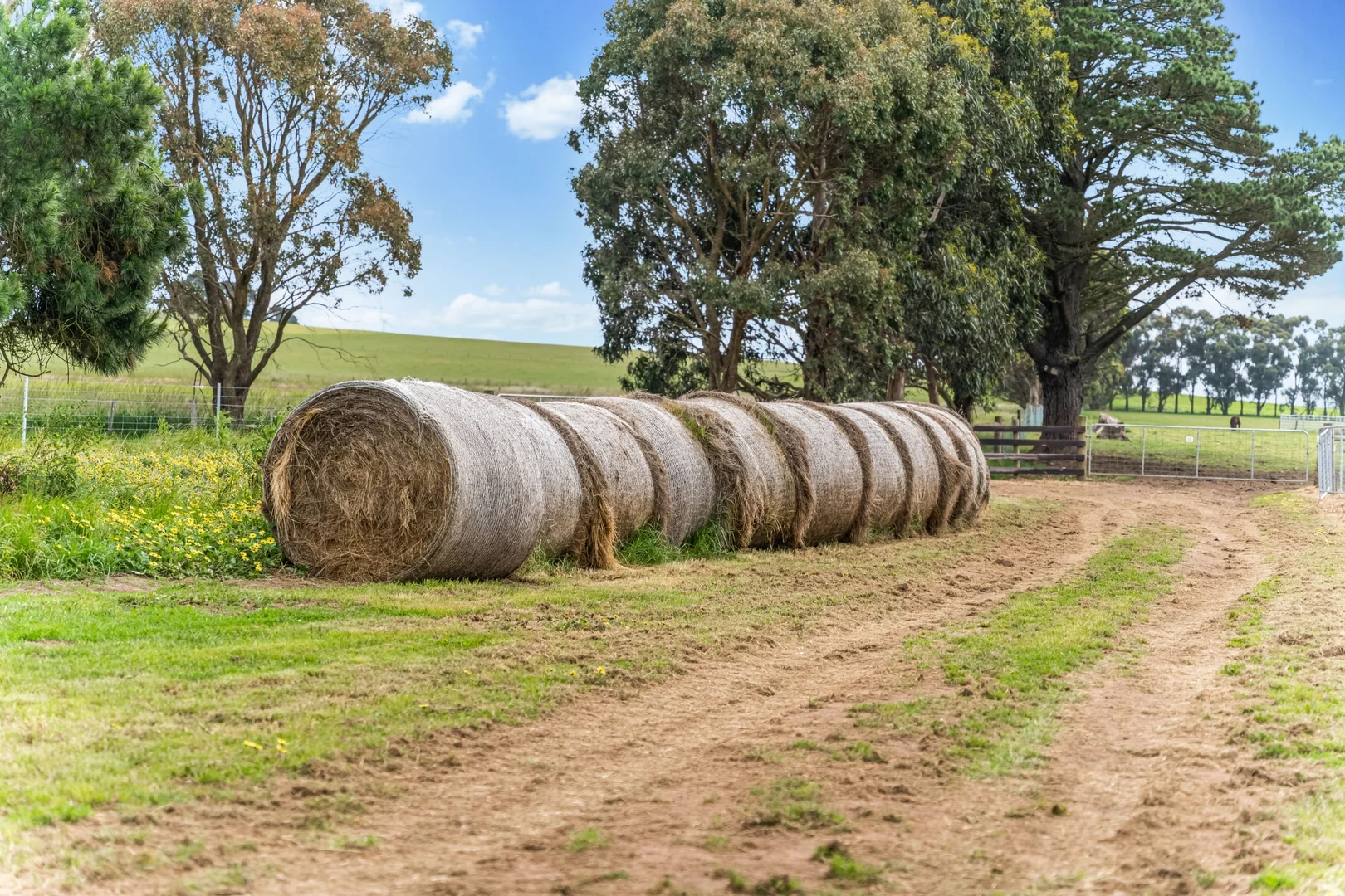 Additional image 25 of 17 Camerons Lane, Waubra VIC 3352