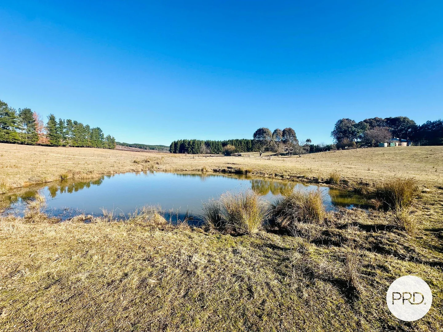 Additional image 26 of 233 Logans Road, Tumbarumba NSW 2653