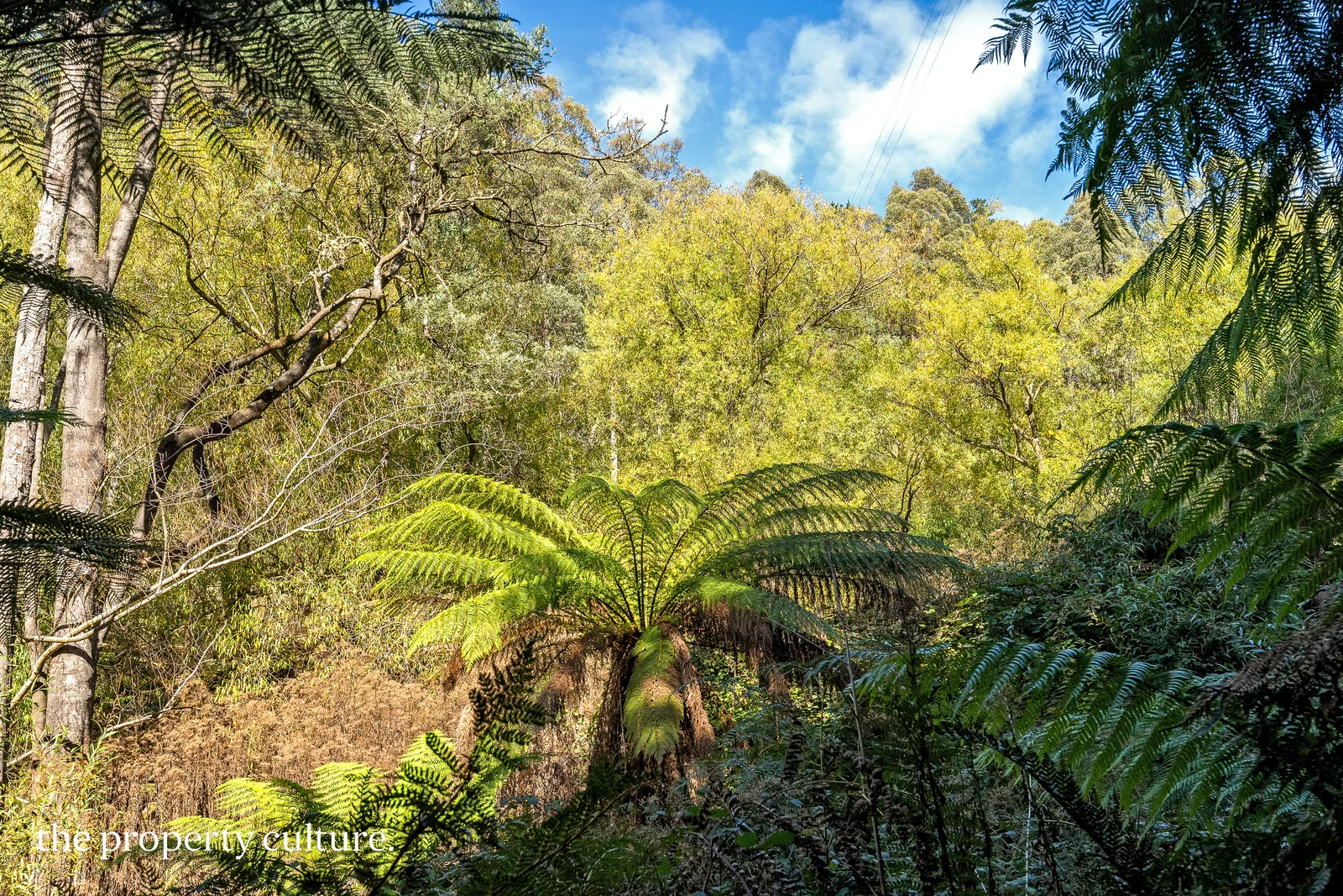 Additional image 21 of 126 New Road, Franklin TAS 7113