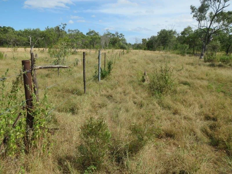 Additional image 29 of Van Lee Station, Mount Surprise QLD 4871
