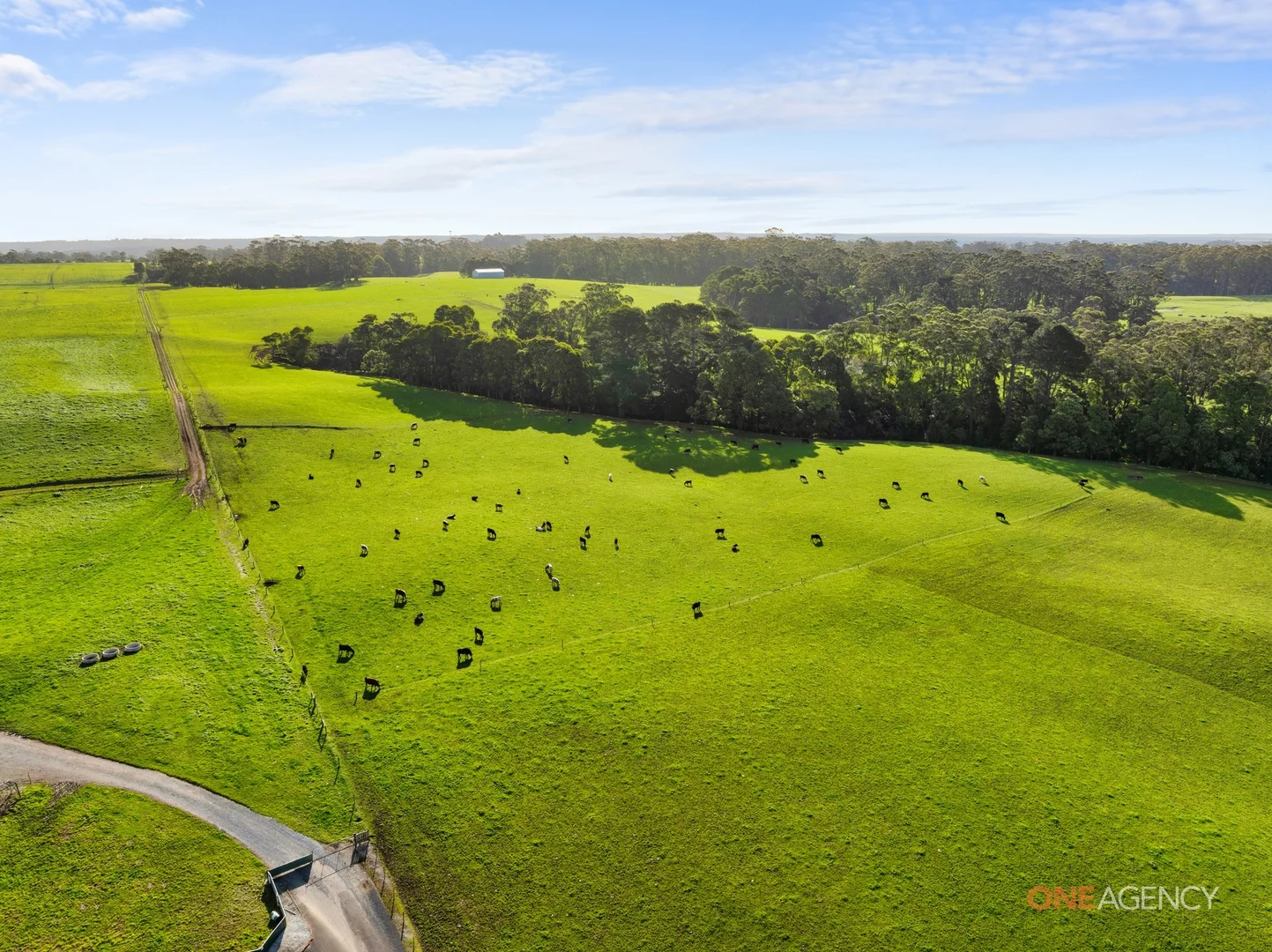 Additional image 14 of 450 Irishtown Road, Irishtown TAS 7330