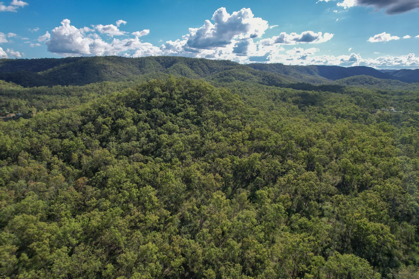 Additional image 6 of 38 Wonbah Avenue, Wonbah Forest QLD 4671