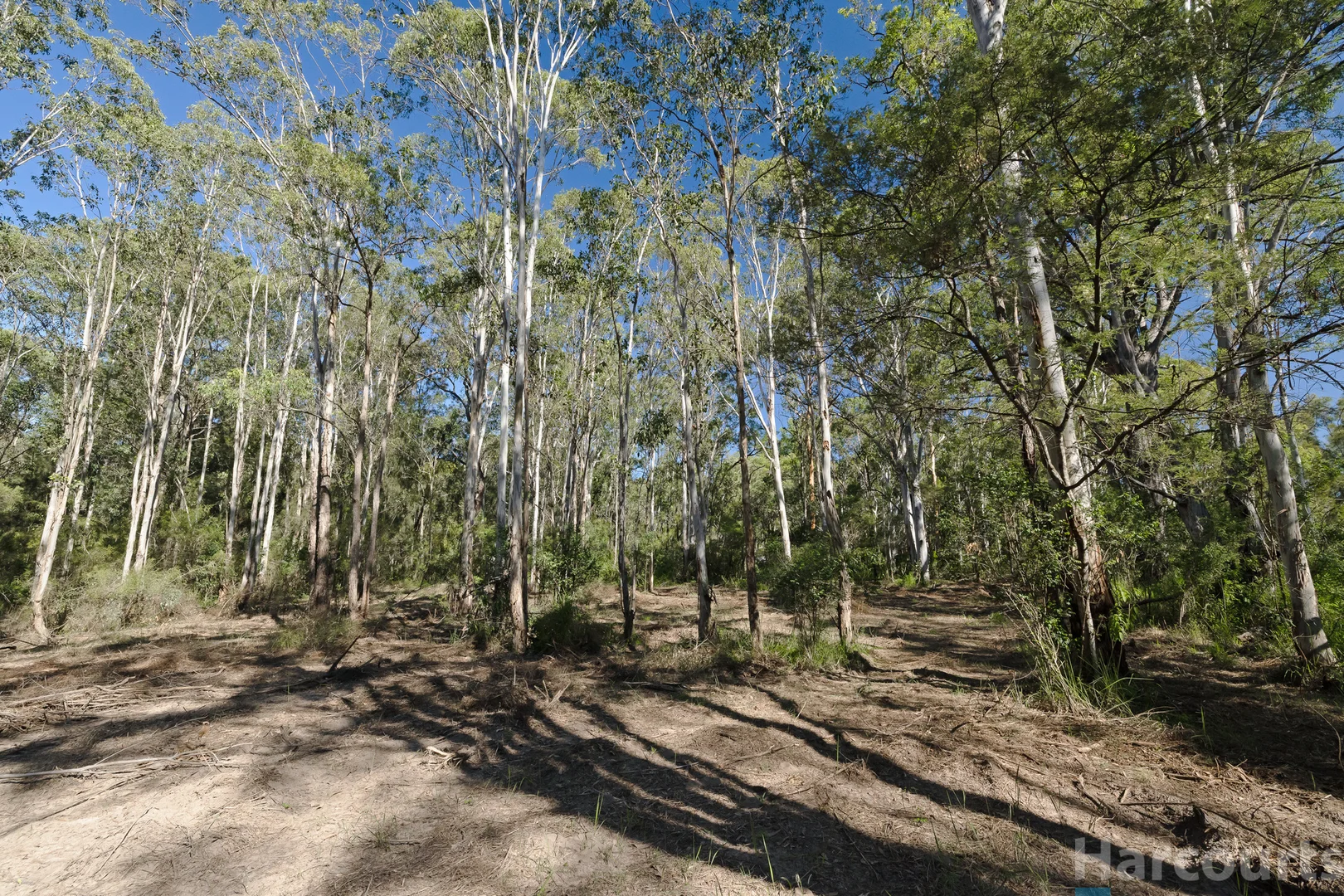 Additional image 2 of 75 Church Street, Abermain NSW 2326