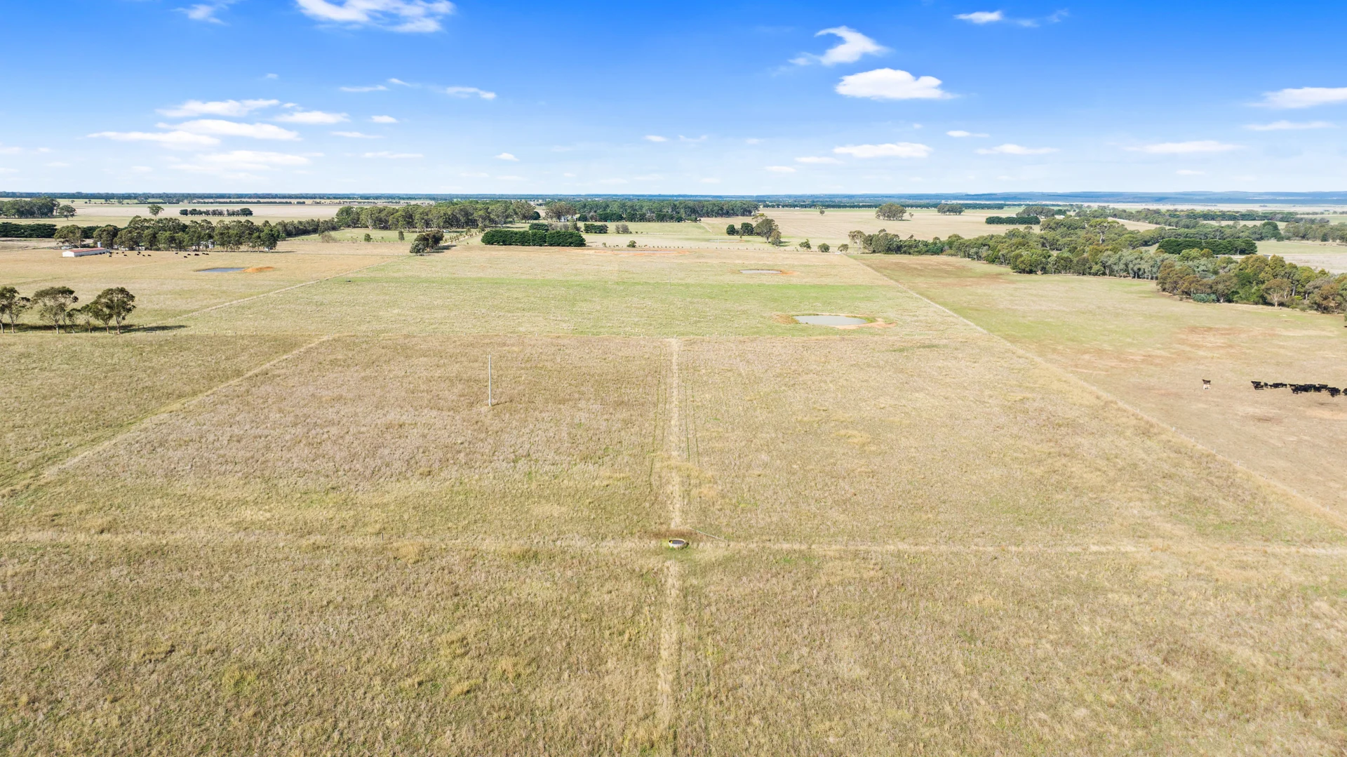 Additional image 5 of Toongabbie VIC 3856