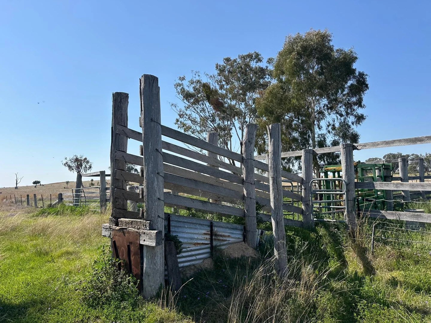 Additional image 12 of "Coolendoon" 810 The Pocket Road, Bukkulla NSW 2360