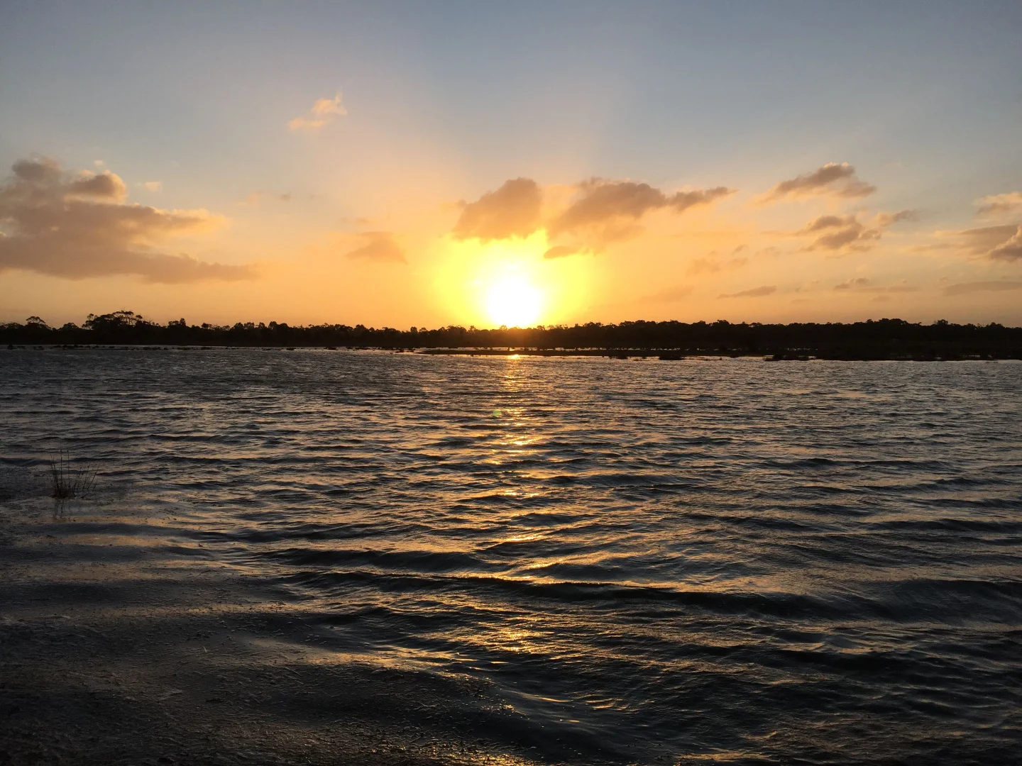 Additional image 28 of 111 CRAIGS LANE, Pearcedale VIC 3912