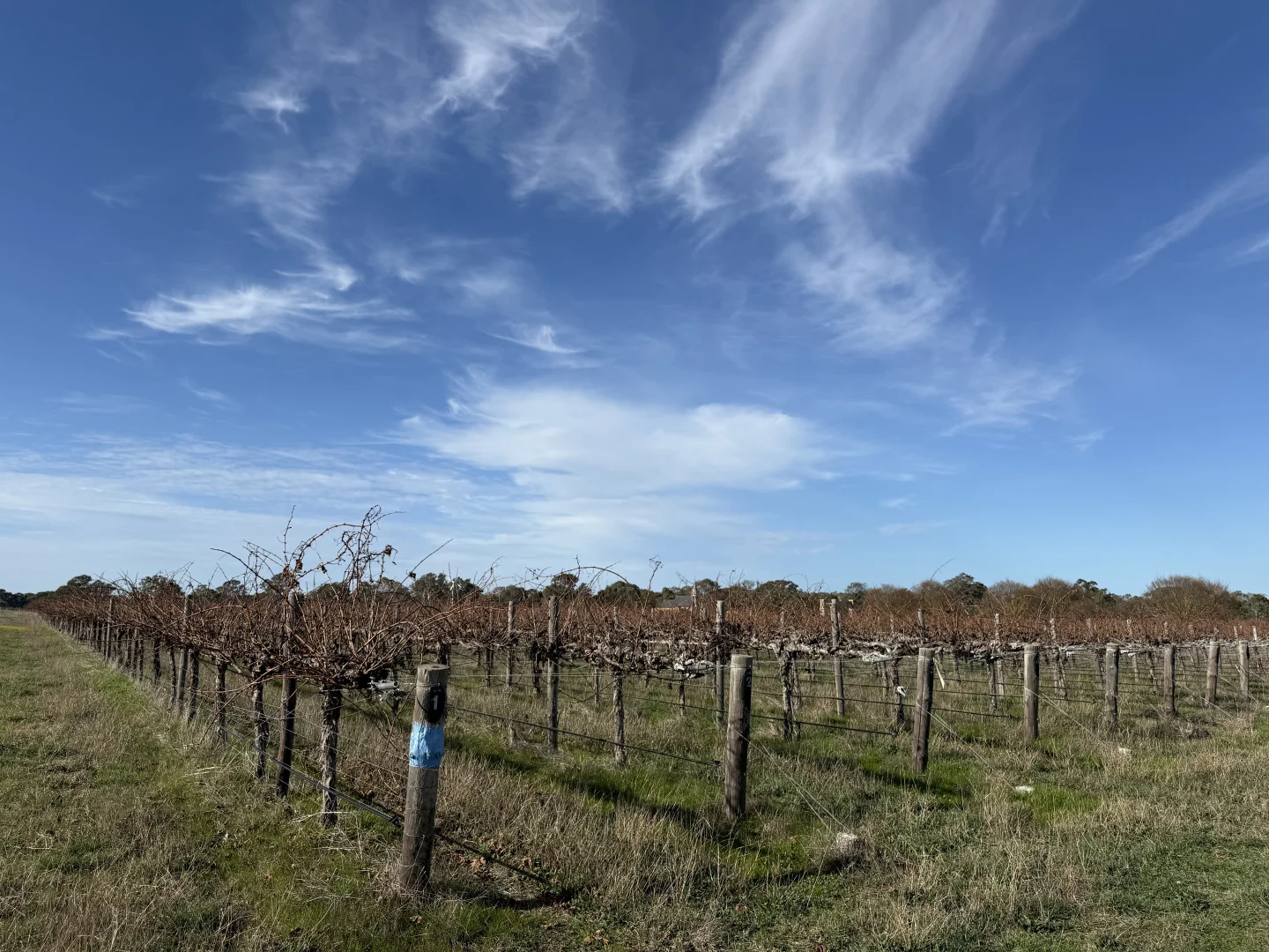 Additional image 5 of Lot 100 Dergholm Road, Penola SA 5277